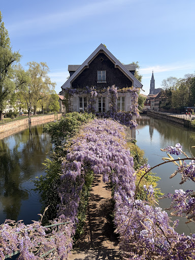 Strasbourg, France 2026